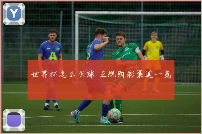 世界杯怎么买球 正规购彩渠道一览