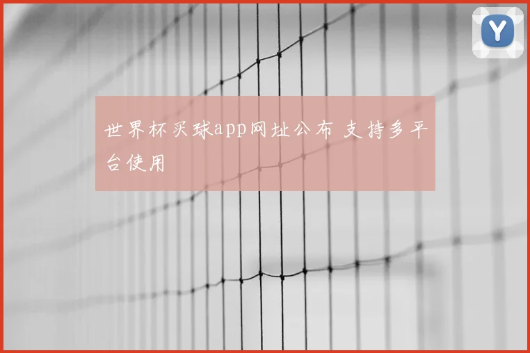 世界杯买球app网址公布 支持多平台使用