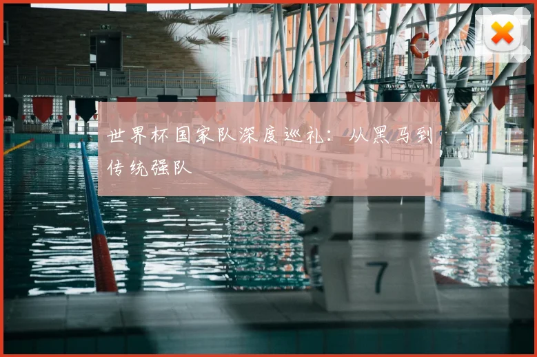 世界杯国家队深度巡礼:从黑马到传统强队