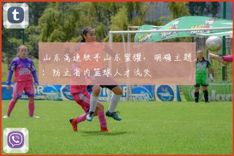 山东高速联手山东蜜獾,明确主题:防止省内篮球人才流失
