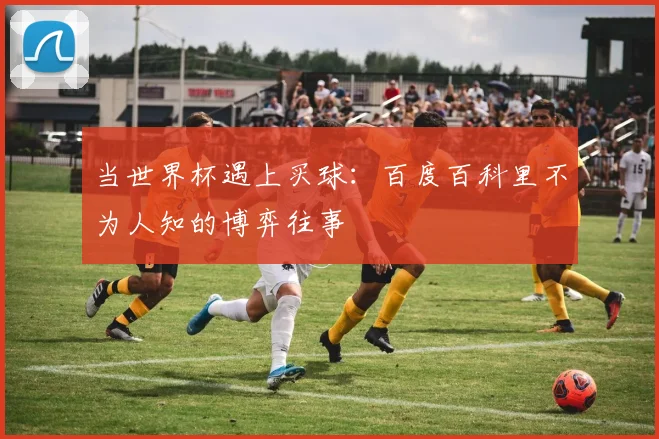 当世界杯遇上买球：百度百科里不为人知的博弈往事