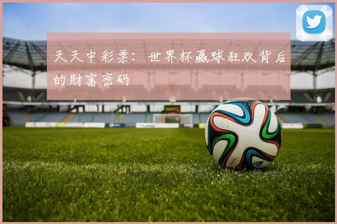天天中彩票：世界杯赢球狂欢背后的财富密码