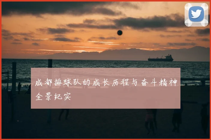 成都排球队的成长历程与奋斗精神全景纪实