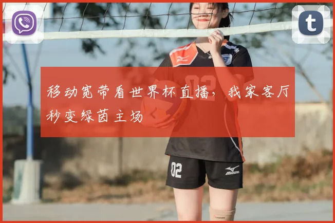 移动宽带看世界杯直播，我家客厅秒变绿茵主场