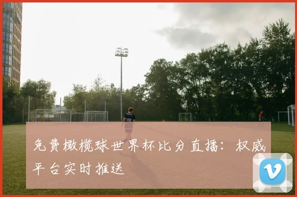 免费橄榄球世界杯比分直播:权威平台实时推送