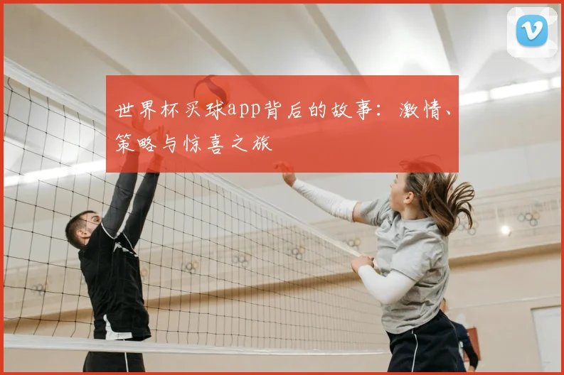 世界杯买球app背后的故事：激情、策略与惊喜之旅