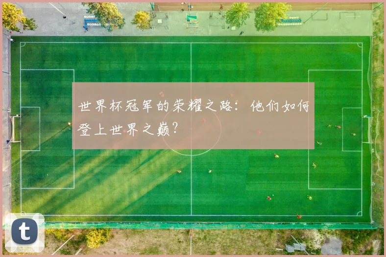世界杯冠军的荣耀之路:他们如何登上世界之巅?