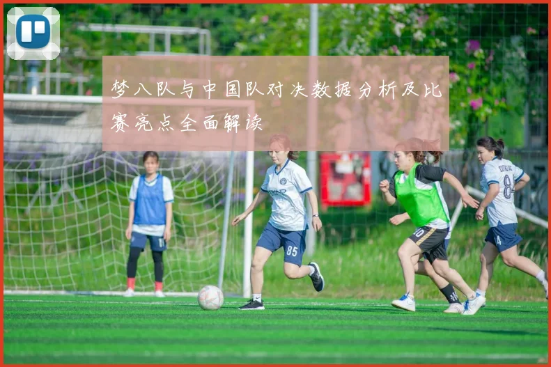 梦八队与中国队对决数据分析及比赛亮点全面解读