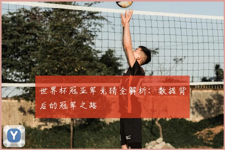 世界杯冠亚军竞猜全解析：数据背后的冠军之路