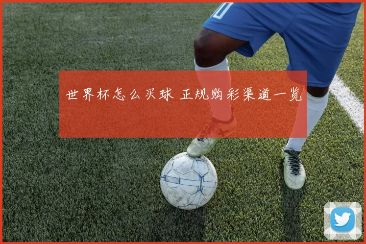 世界杯怎么买球 正规购彩渠道一览