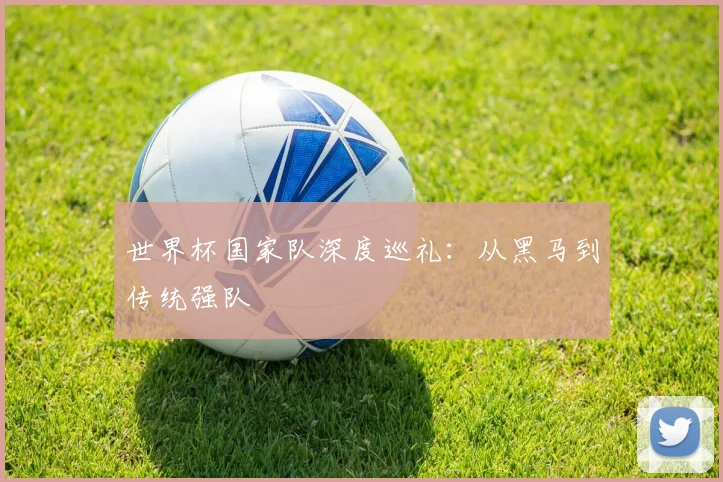 世界杯国家队深度巡礼:从黑马到传统强队