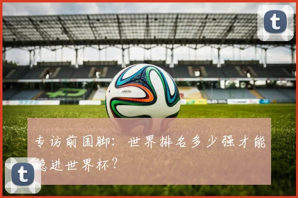 专访前国脚:世界排名多少强才能稳进世界杯?