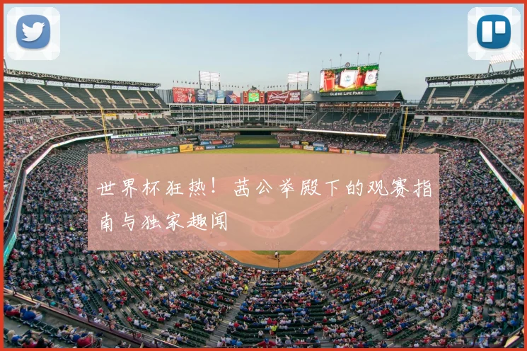 世界杯狂热！茜公举殿下的观赛指南与独家趣闻