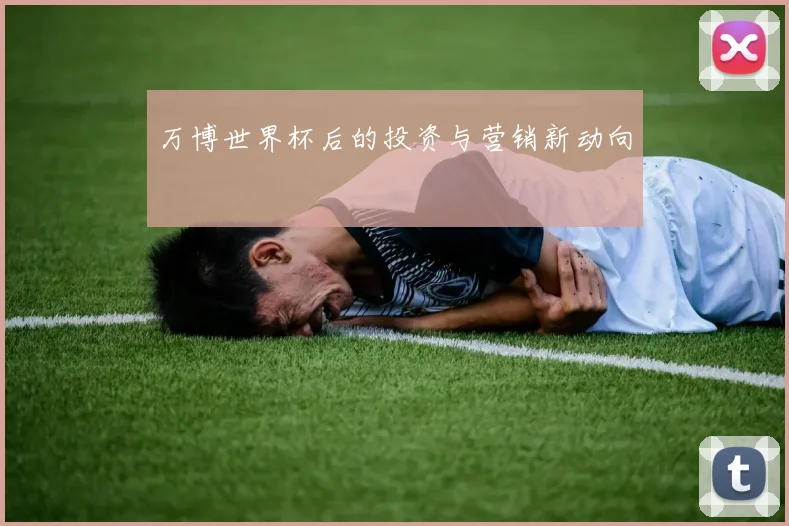 万博世界杯后的投资与营销新动向